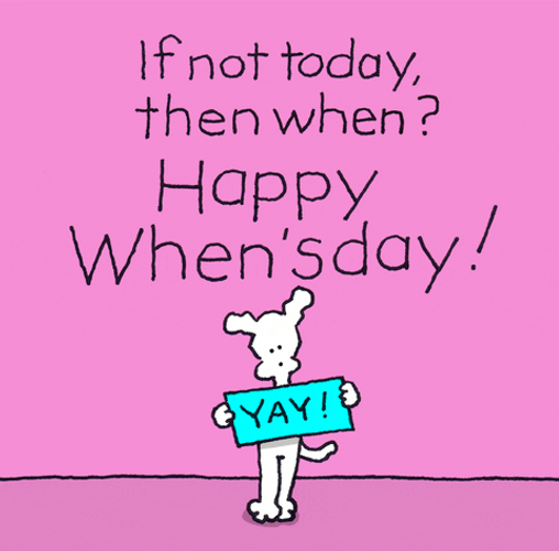 If Not Happy Wednesday Chippy GIF