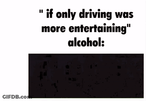 If Only Driving Was More Entertaining Alcohol GIF