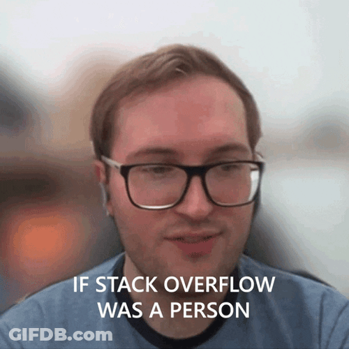 If Stack Overflow Was A Person GIF