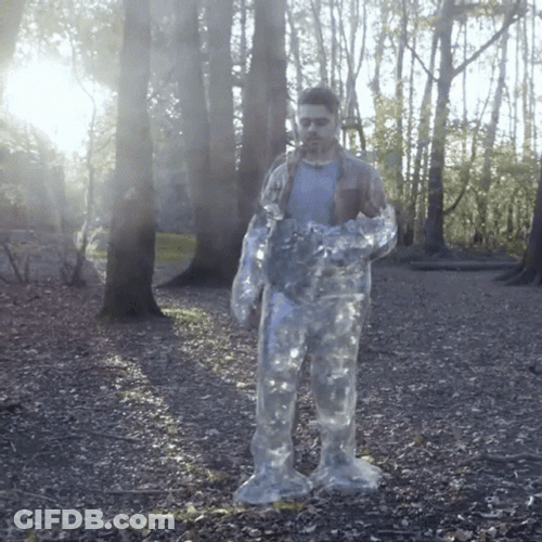 Ignace Aleya Freeze In The Middle Of The Forest GIF