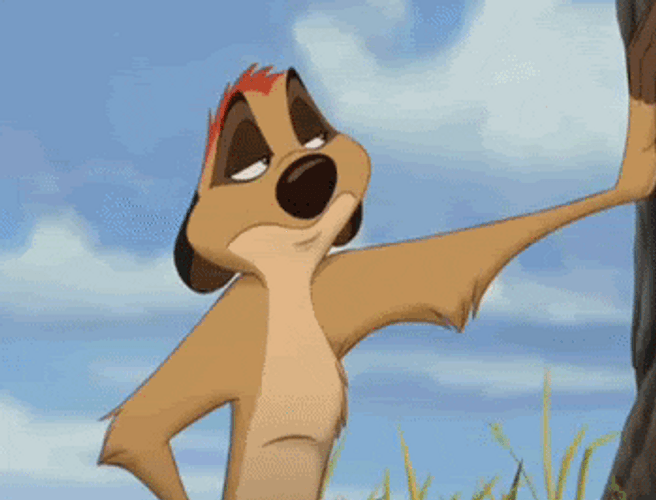 Ignore The Lion King Timon GIF