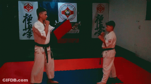 Ikak Kyokushinryu GIF