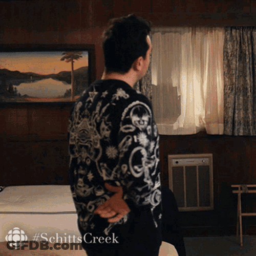 Ill Pretend I Didnt Hear That David Rose GIF