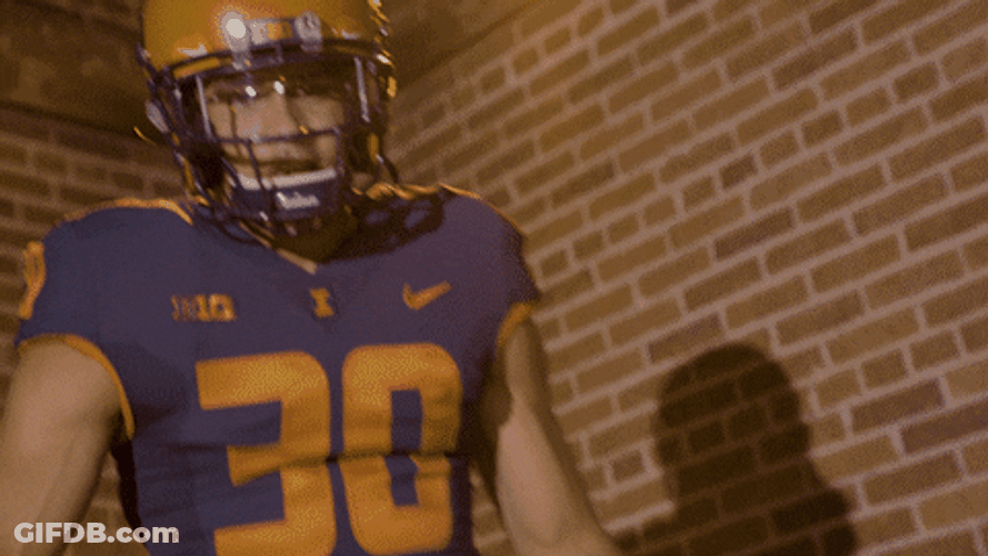 Illinois Fighting Illini Cheering Applause GIF