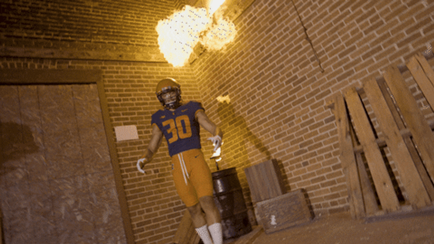 Illinois Fighting Illini Fist Pump GIF
