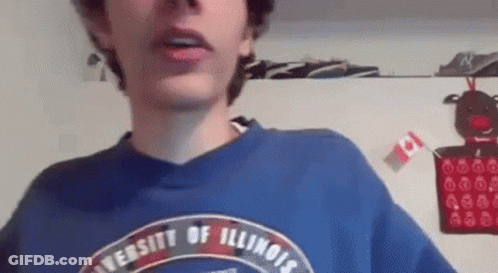 Illinois Flag Flying In Blue Sky GIF