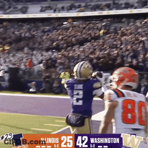 Illinois Vs Washington Football Game GIF