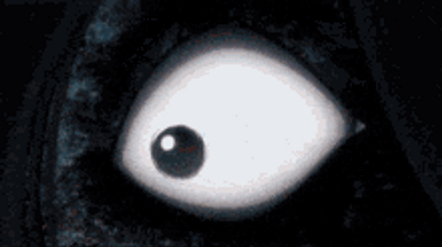 Illumi Gave Up But Mad GIF