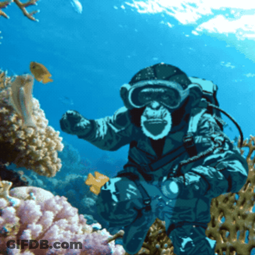 Illustrated Monkey Swimming In The Sea GIF