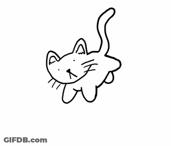 Illustration Cat Spinning GIF
