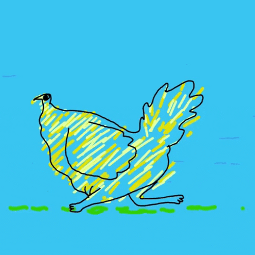 Illustration Chicken Run GIF