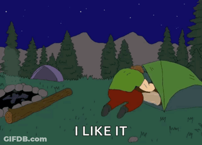 Illustration Shaggy I Like It Camping GIF