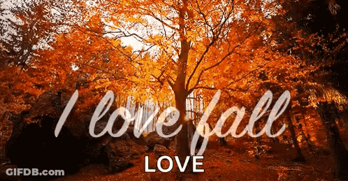 Ilovefall GIF