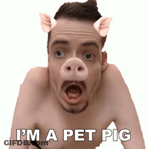 Im A Pet Pig GIF