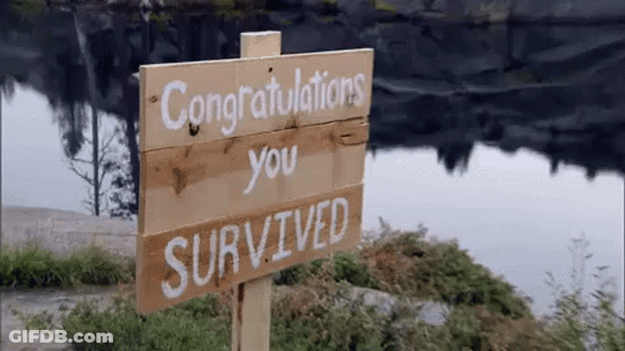 Im A Survivor Congratulation GIF