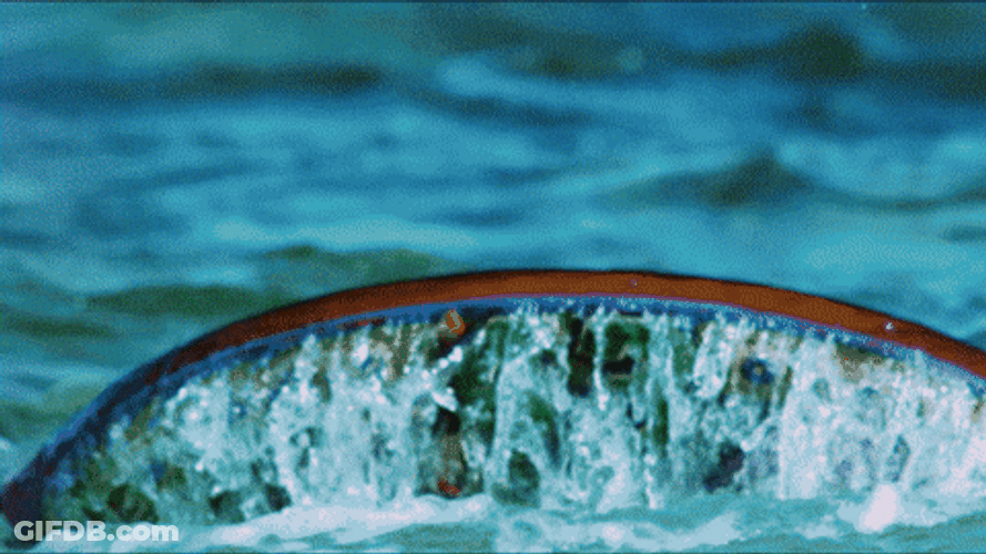 Im A Survivor Titanic GIF