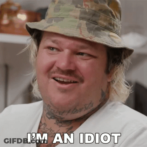 Im An Idiot GIF