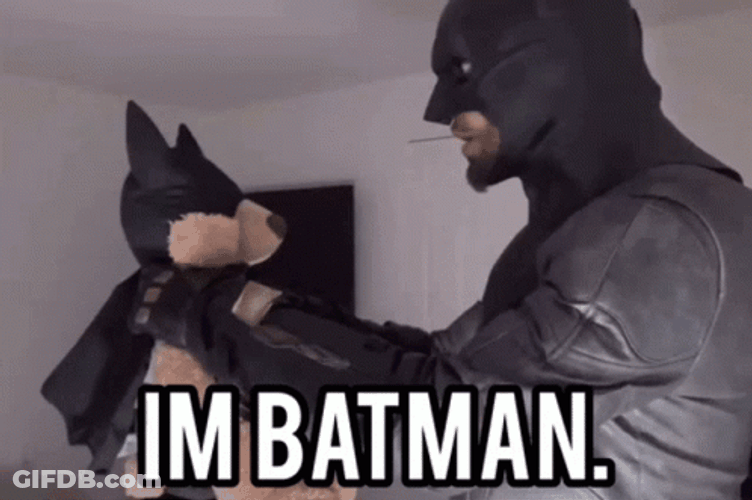 Im Batman Headbutts Staffed Dog GIF
