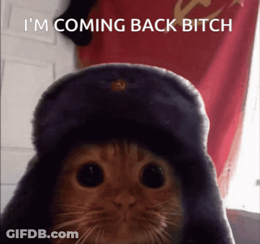 Im Coming Back Bitch Russian Cat GIF