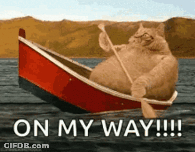 Im Coming On My Way Orange Cat GIF