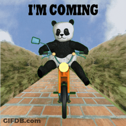 Im Coming Panda Bike GIF