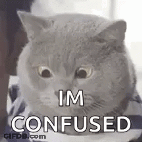 Im Confused Confusing GIF