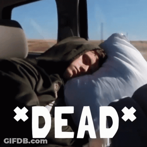 Im Dead Man Sleeping In Car GIF