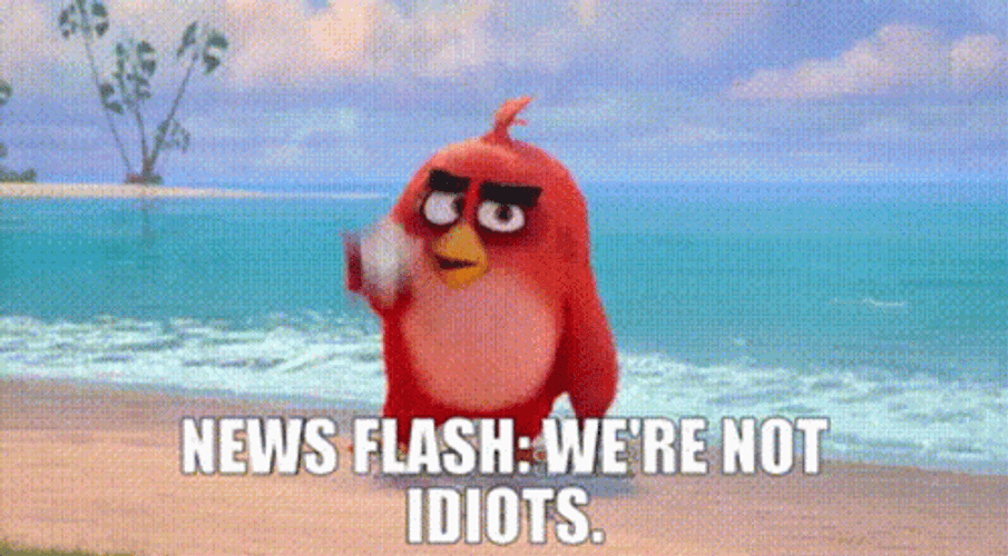 Im Dumb Angry Birds Movie Flash News GIF