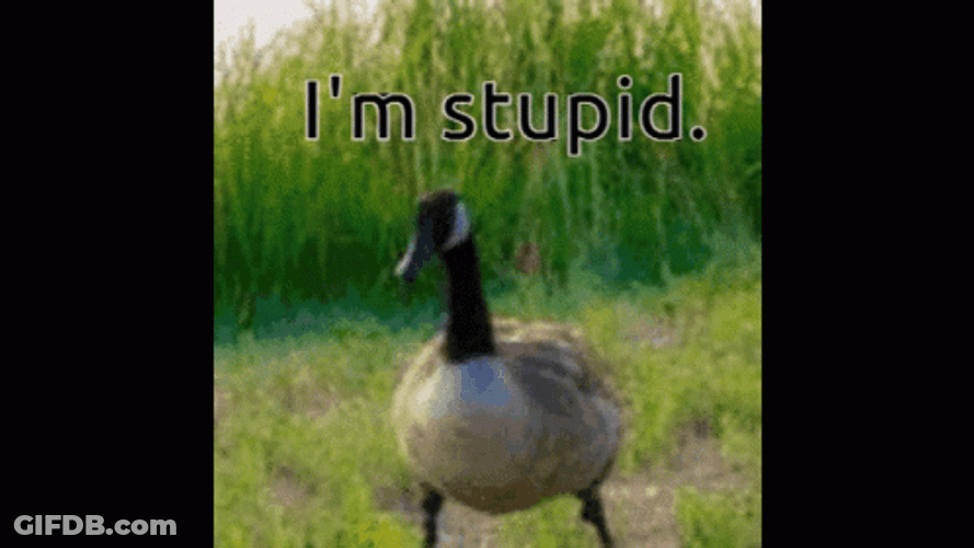 Im Dumb Stupid Ahh Goose GIF