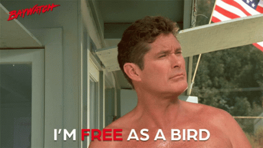 Im Free As A Bird Life Is Good GIF