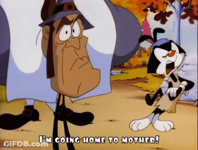 Im Going Home Animaniacs Quarrel GIF