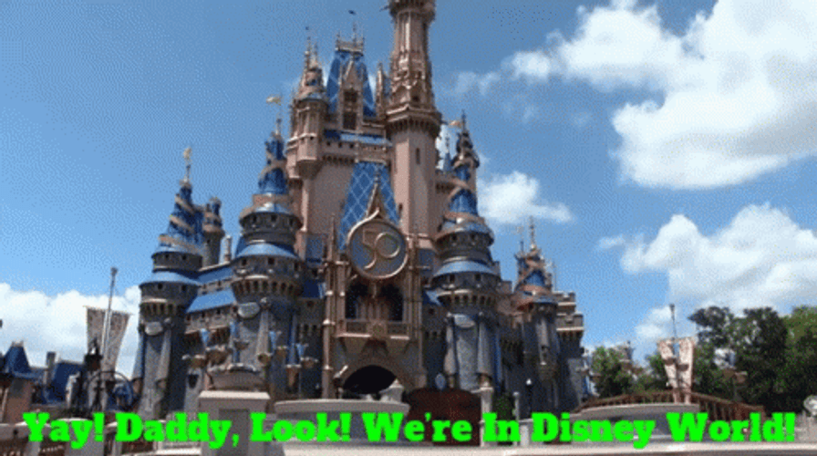 Im Going To Disney World Excited Puppets GIF