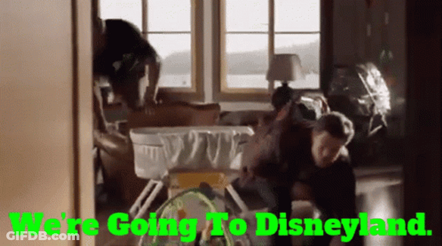 Im Going To Disney World Frantic Packing GIF