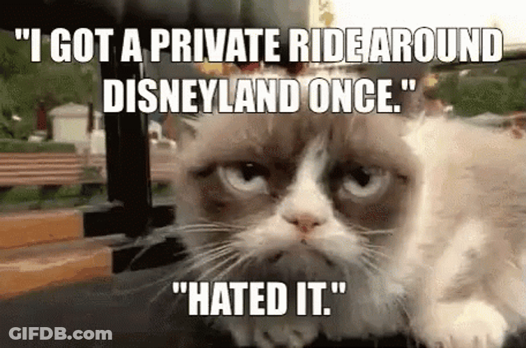 Im Going To Disney World Grumpy Cat GIF