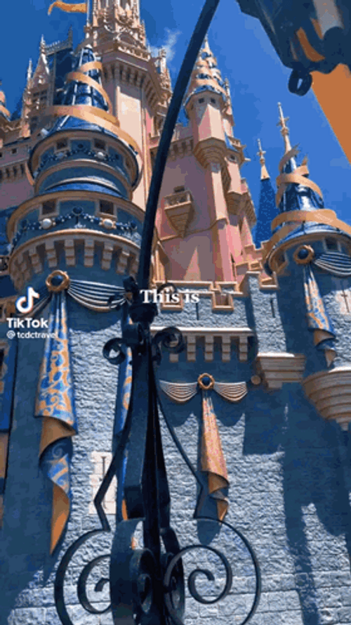 Im Going To Disney World Image Selections GIF