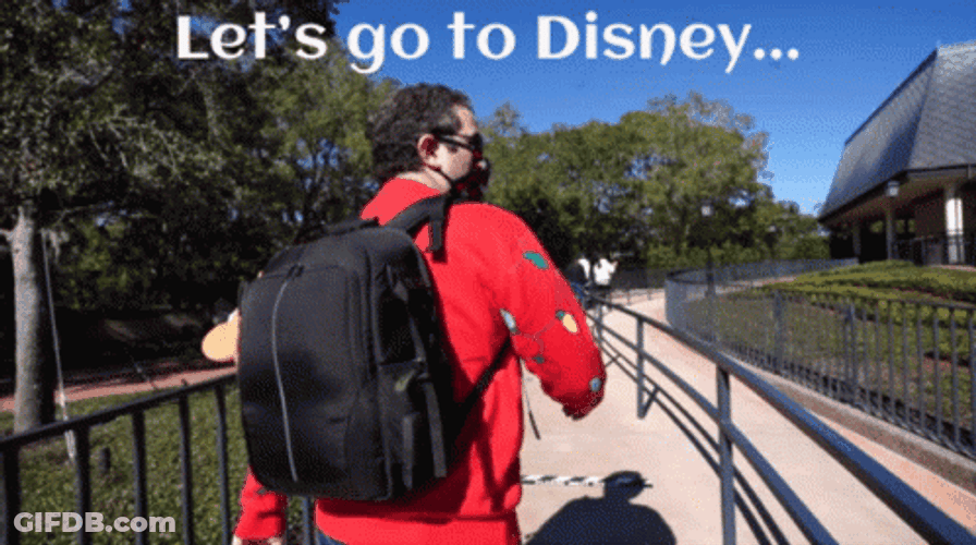 Im Going To Disney World Let's Go GIF
