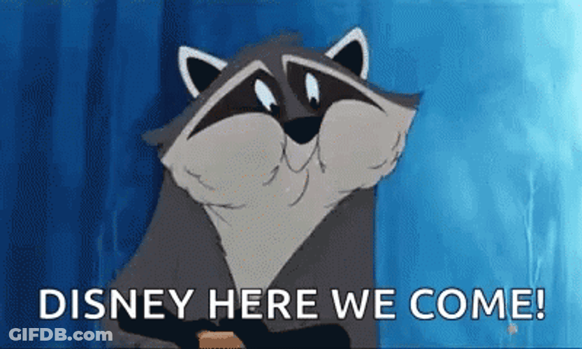 Im Going To Disney World Meeko Racoon GIF
