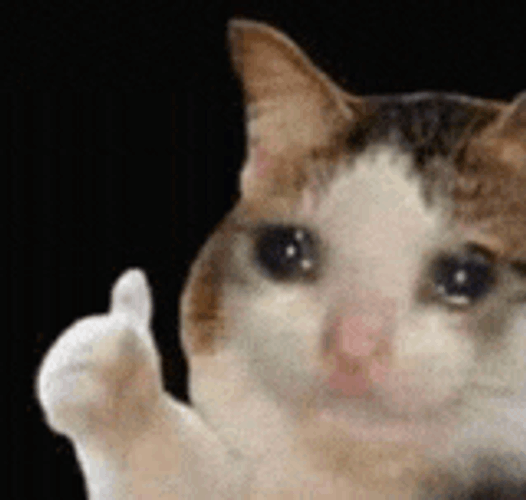 Im Good Meme GIF