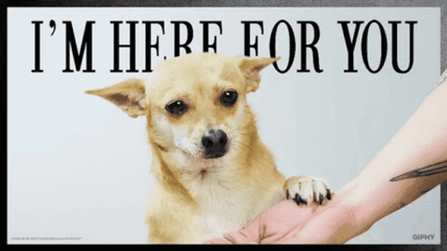 Im Here For You GIF