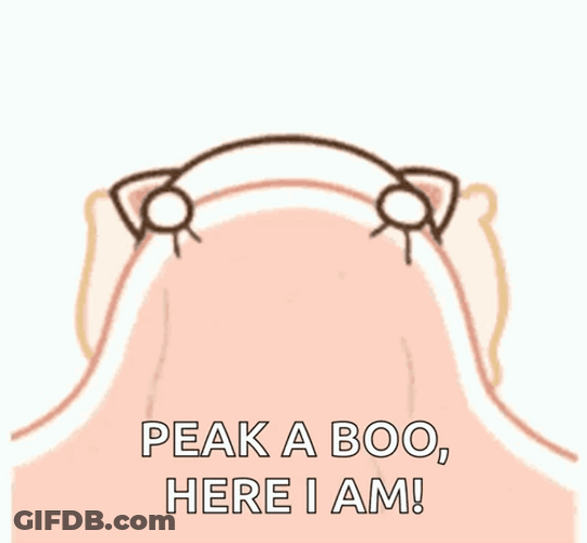 Im Here Peak A Boo GIF