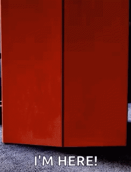 Im Here Woody GIF
