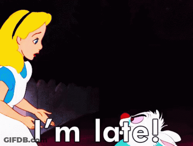 Im Late Alice And White Rabbit GIF