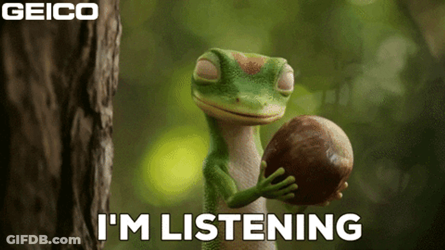 Im Listening Curious Gecko GIF