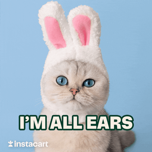Im Listening Cute Cat Bunny Ears GIF