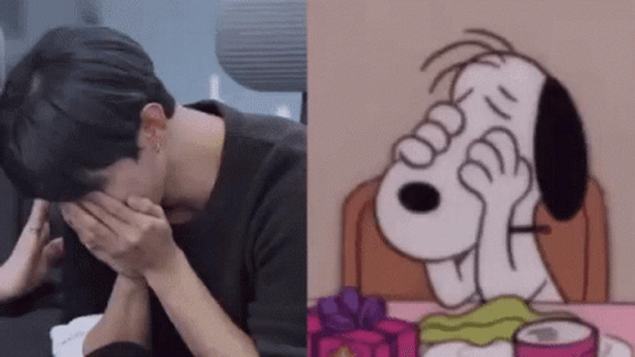 Im Not Crying Youre Crying Snoopy GIF