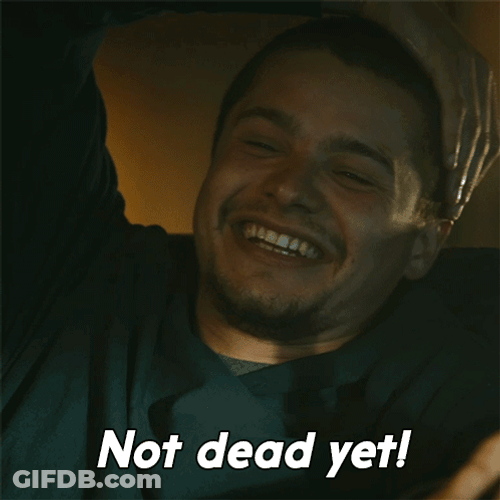 Im Not Dead Yet Laughing Toby Wallace GIF