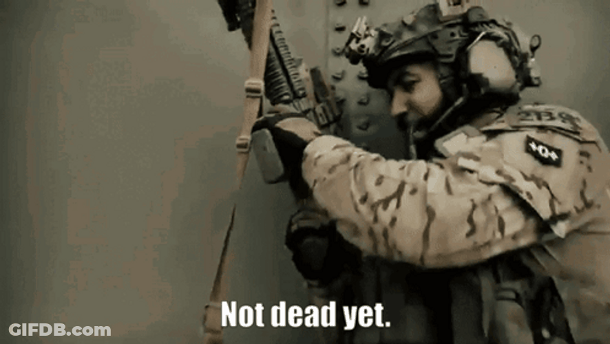 Im Not Dead Yet Neil Brown The Seal GIF