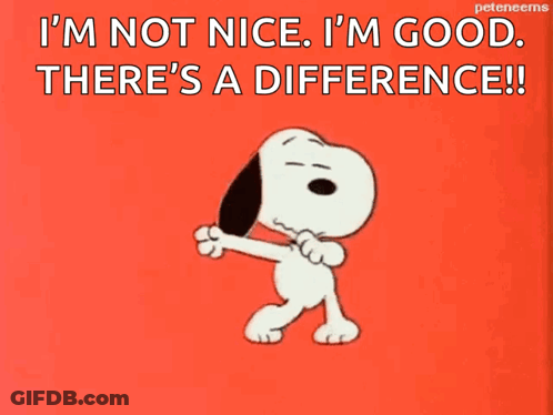 I’m Not Nice I’m Good GIF