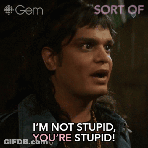 Im Not Stupid Youre Stupid Dumb GIF