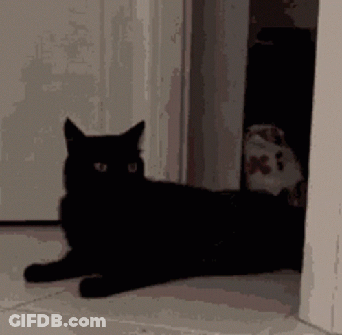 Im Outa Here GIF